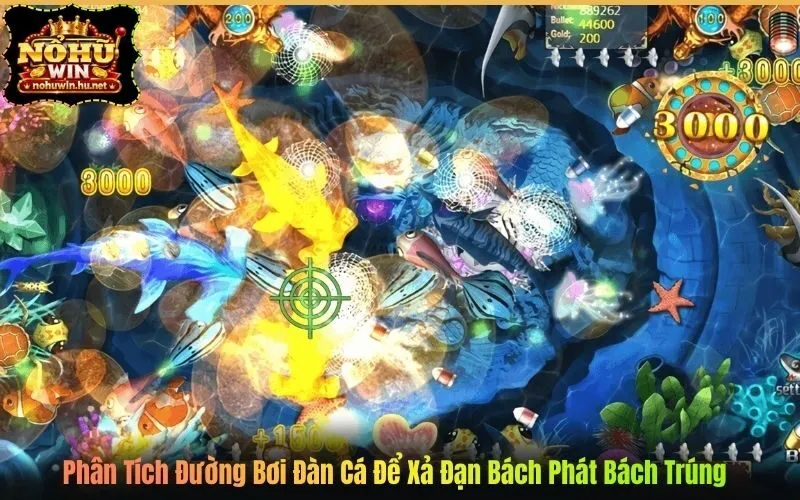 Phân Tích Đường Bơi Đàn Cá